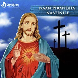 Naan Pirandha Naatinile