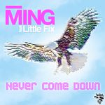 Never Come Down (feat. Little Fix)