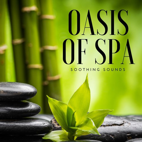 Oasis of Spa - Soothing Sounds, Relaxation, Deep Meditation, Yoga Workout, Stress Relief