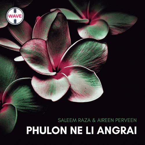 Phulon Ne Li Angrai - Single_poster_image