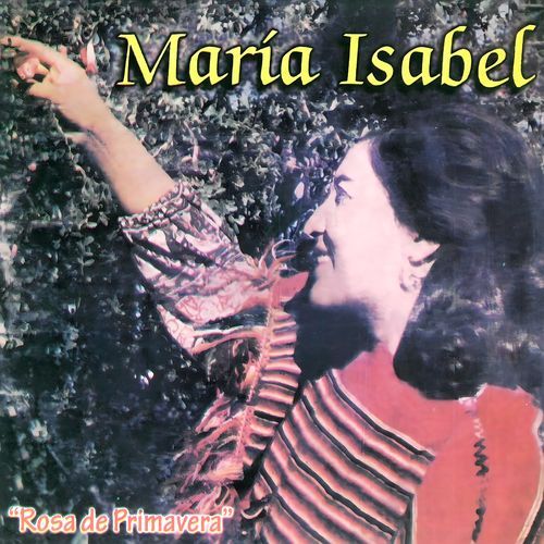 Rosa de Primavera