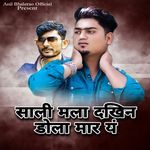 Sali Mala Dakhin Dola Maray