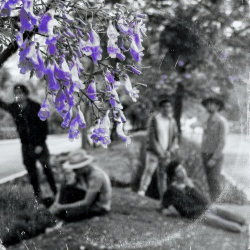 Simon cover art