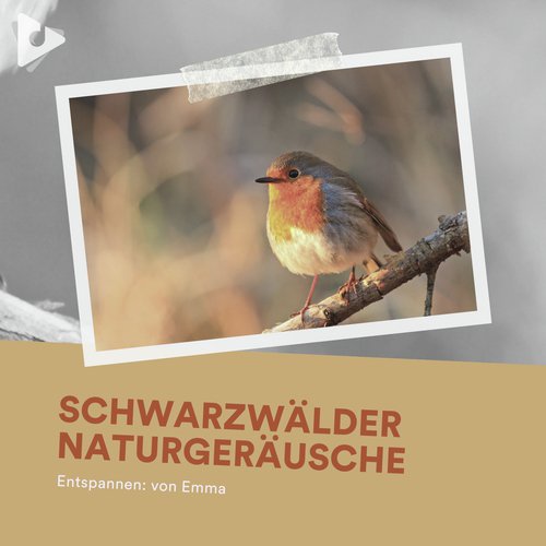 Pfeifenlieder von Tallinn cover art