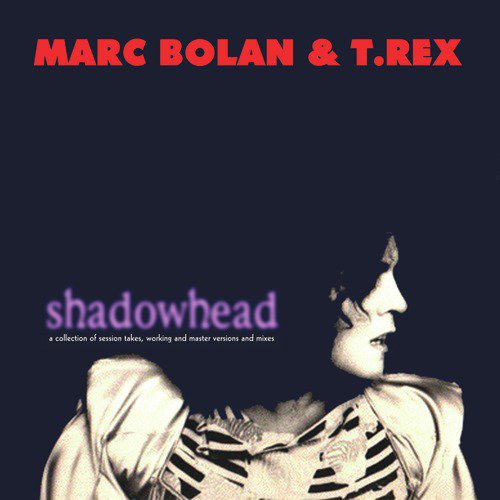 Shadowhead (A Collection of Session Takes, Working and Master Versions and Mixes)