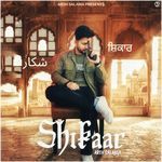 Shikaar