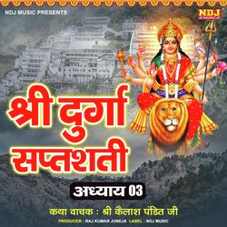 Shree Durga Saptshati Adhyay, Pt. 03-GhA8WT19Z3Q