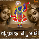 Shreenathji Ni Zankhi Nonstop Part-3