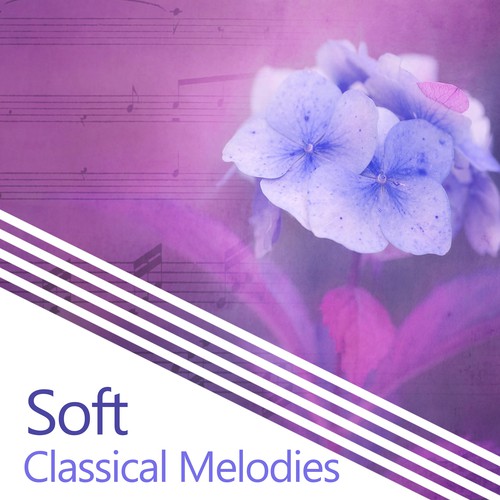 Soft Classical Melodies – Relaxing Piano, Beautiful Music, Classics Note