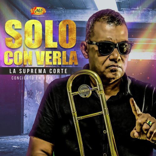 Solo Con Verla (En Vivo)_poster_image