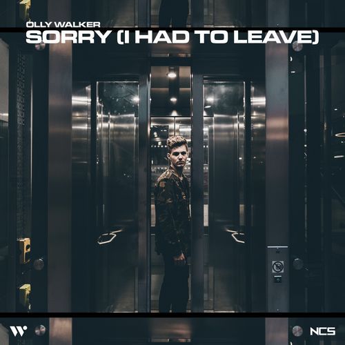 Sorry (I Had To Leave)_poster_image