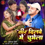 Teer Dilwe Me Chubhela