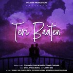 Teri Baaten