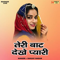 Teri bat dekhe pyari (Hindi)