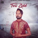 Teri Zidd