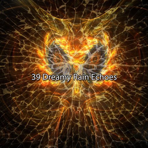 39 Dreamy Rain Echoes_poster_image