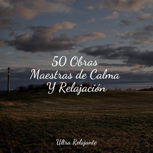 Pluma De Luna cover art