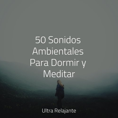 50 Sonidos Ambientales Para Dormir y Meditar_poster_image