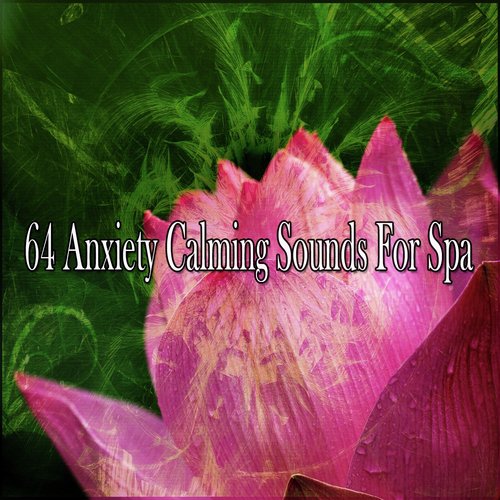 64 Anxiety Calming Sounds for Spa