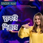 বুকেরি পিঞ্জরে