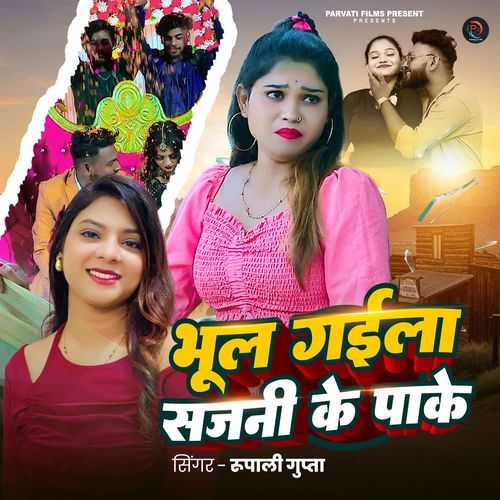 Bhul Gaila Sajani Ke Pake