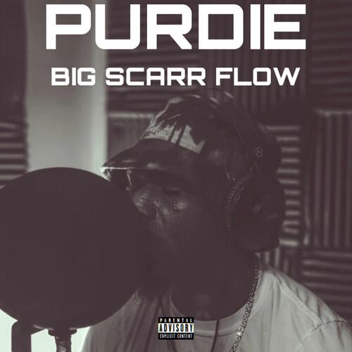 Big Scarr Flow cover art