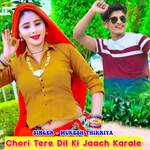 Chori Tere Dil Ki Jaach Karale