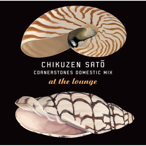 Amanogawa Toshiyuki Yasuda Remix cover art