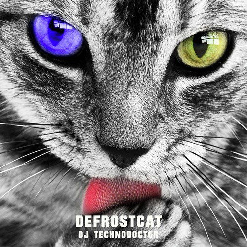 Defrostcat_poster_image