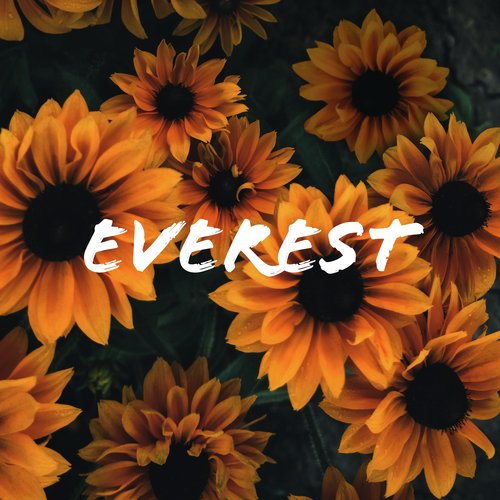 Everest cover art