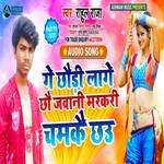 Ge Chhaudi Laage Chhau Jawani Markari Chamkaye Chhau