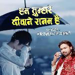 Hum Tumhare Diwane Sanam Hai