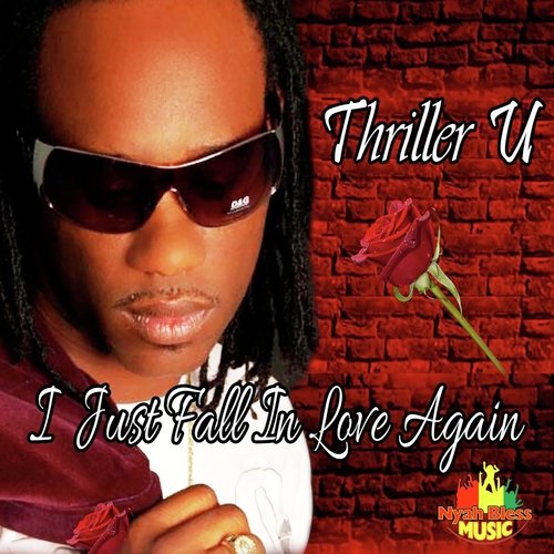 I Just Fall in Love Again