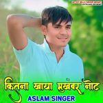 Kitna Khaya Mukhbar Not