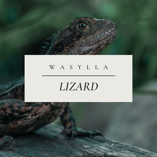 Lizard cover art