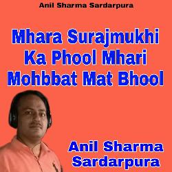 Mhara Surajmukhi Ka Phool Mhari Mohbbat Mat Bhool