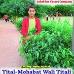 Mohabat Wali Titali (Rajsthani)