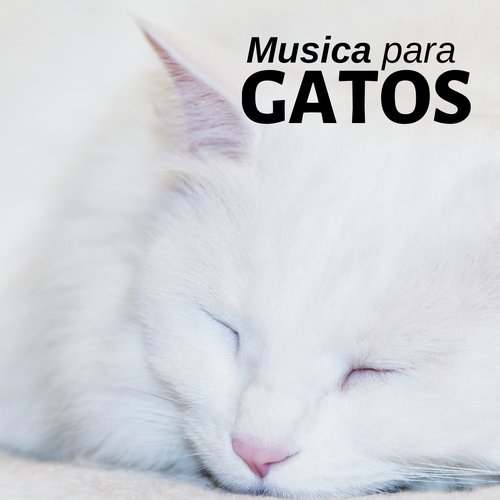 Musica Relajante cover art