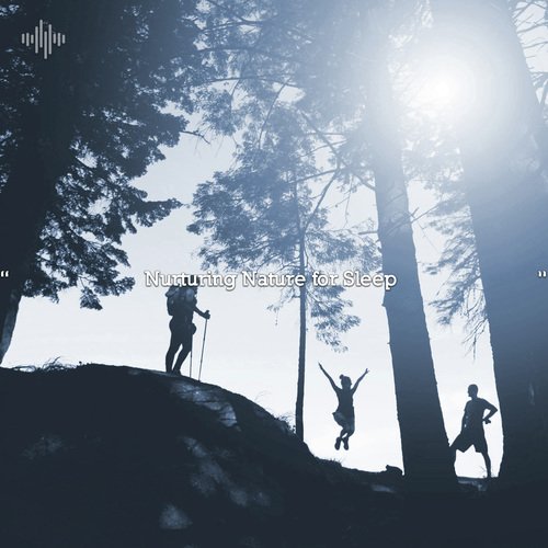 Nature Ambience cover art