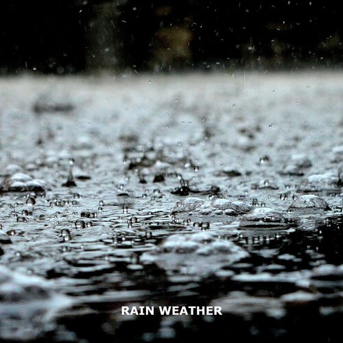Small June Rain