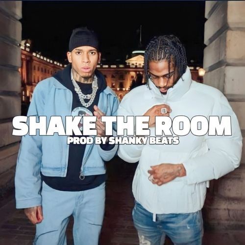 Shake the Room_poster_image