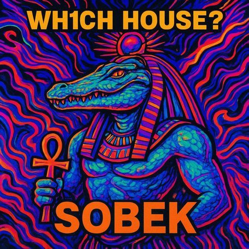 Beetle Bird (Wh1ch House? Remix) cover art