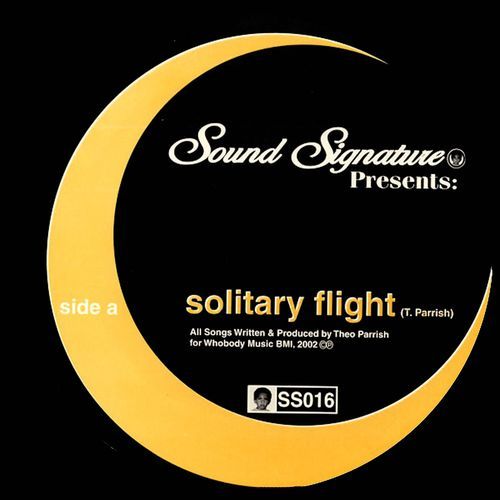 Solitary Flight