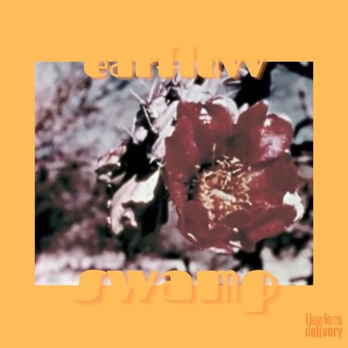 dogwood cover art