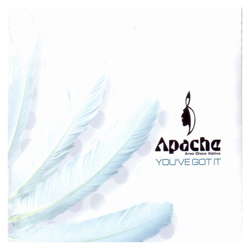 You&#039;ve Got It (Single)