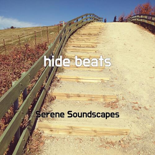 hide beats cover art