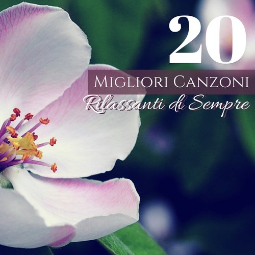 Meditazione Zen cover art