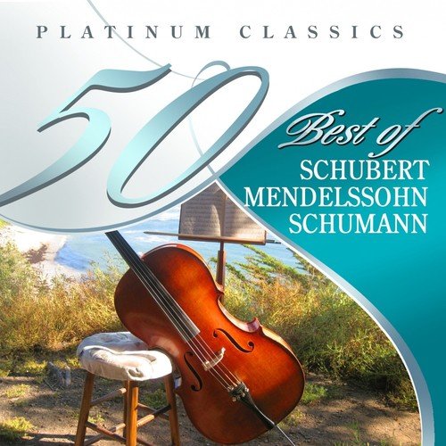 Symphony No. 4, in A major, Italian, Op. 90: II. Andante con moto