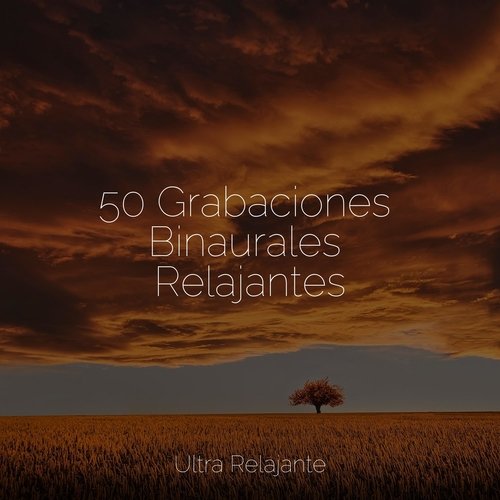 Fuente De Energía cover art