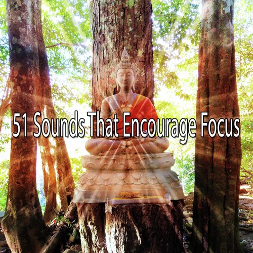51 Sounds That Encourage Focus